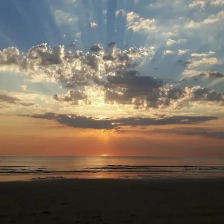 Duinhuis Zout Hout Egmond-Binnen