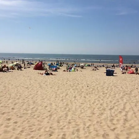 Duinhuis Zout Hout Vakantiehuis Egmond-Binnen