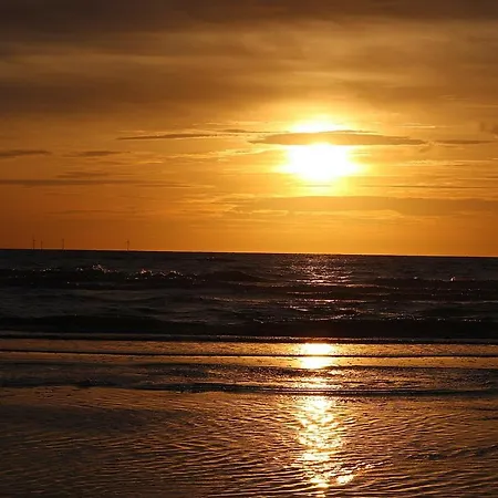 Casa de Férias Duinhuis Zout Hout *