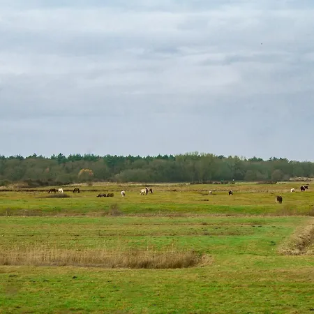 Duinhuis Zout Hout *